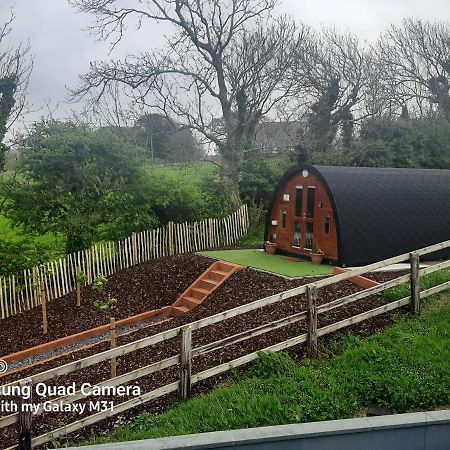 エニスIvy Hill Glamping Podアパートメント エクステリア 写真